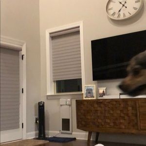 Meet your Posher, Karishma